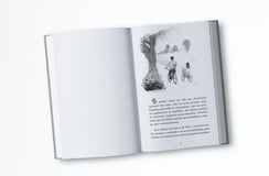 diagramação e arte