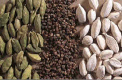 Graine et fruit cardamome - Elettaria cardamomum
