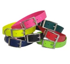 dog collars in various colors