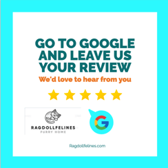 reviews, review,customer review,happy customer reviews, what our customer are saying.