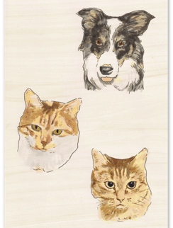 portrait chien et chat couleur impression sur bois