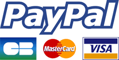 un logo paypal avec le mot paypal