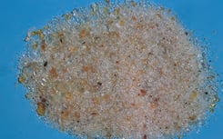 Gomme arabique
