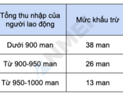 Khấu trừ vợ/chồng(配偶者控除額・はいぐうしゃこうじょがく)