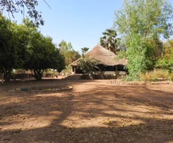 Foto van het Campement de Wassadou, een duurzame eco-lodge gelegen in een prachtige natuurlijke omge