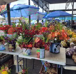 Marché Hilo Big Island