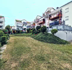 a grassy area with a grassy area and a few bushes