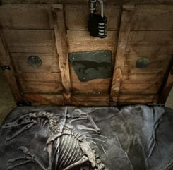 escape box dinosaure