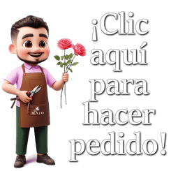 floristería majo