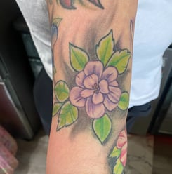 fully healed