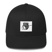 Official Logo Cap