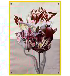 The Most Valuable Flower in the World - Vico Persson