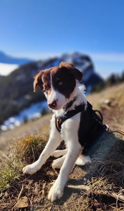 velcro au col de Chavanne