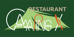 CAMPING X logo