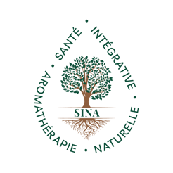 Sina logo