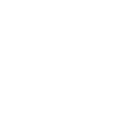 Playful Desires logo