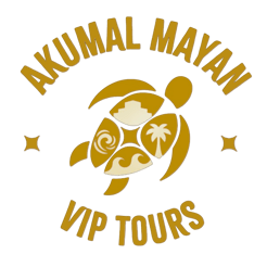 akumal mayan vip tours logo