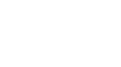 TAPP by Karina Stéfano logo