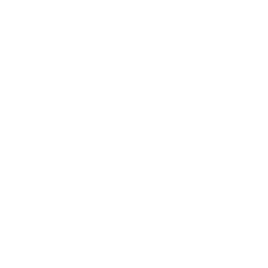 Digitech web logo