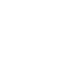 Ethics Digital Minds logo
