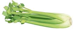 légume tige - céleri