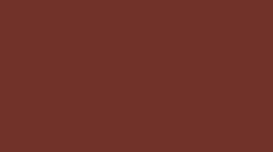 RUSTIC RED PAINT COLOR
