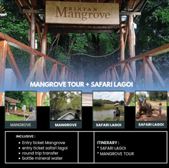 Mangrove and Safari Lagoi