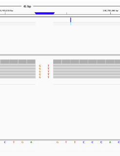 indel SNP visualized in IGV