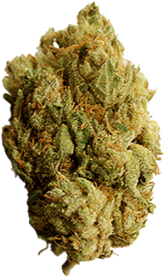 weed