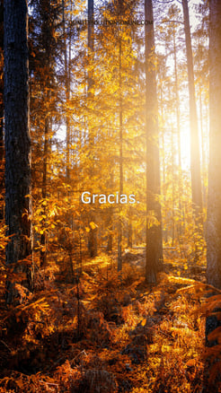 Fondo de pantalla gratitud. 