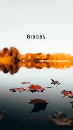 Fondo de pantalla gratitud. 