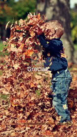 Fondo de pantalla gratitud. 