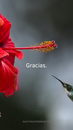 Fondo de pantalla gratitud. 