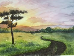 Landskap, träd, en kväll i Afrika