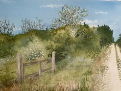 Gotländsk idyll