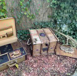 escape box dinosaure