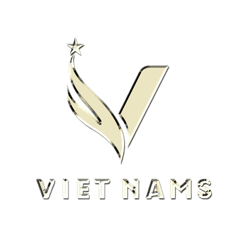 Công ty Tin học Việt Nams logo