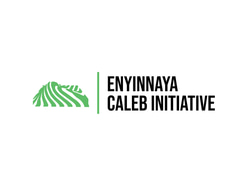 Enyinnaya Caleb Initiatives logo