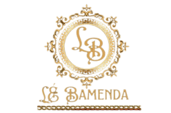 LeBamenda logo