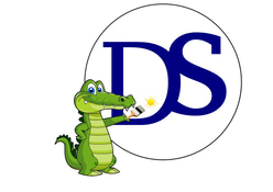 DS Peinture logo