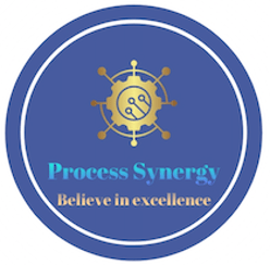 Process Synergy logo