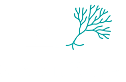 North East homes logo