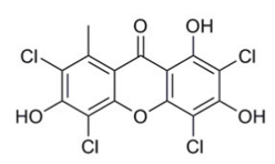 Molécule lichénique – Acide thiophanique