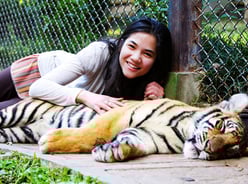 a woman is laying down on the ground besides tiger