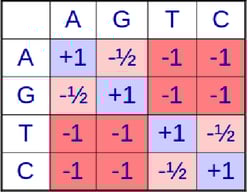 DNA Scoring Matrix