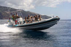 xpoint brand new boat