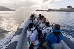 boat leaving the port in Funchal