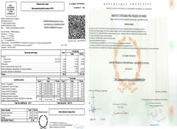 Professional academic document translation services by Lang Lumin