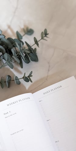 a plant on a table with open weekly planner