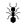 ant_24/03/25